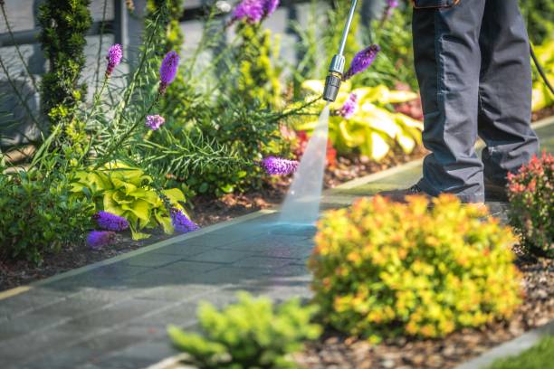 Best Gutter Cleaning  in Ottawa, KS